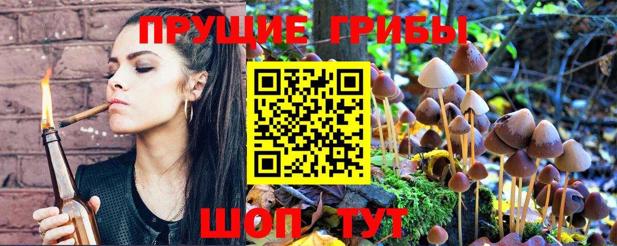 Псилоцибиновые грибы MAGIC MUSHROOMS Нововоронеж