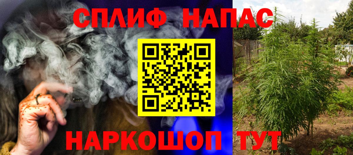 Шишки марихуана сатива Нововоронеж